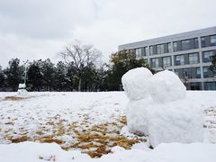 -同济大学(嘉定校区)