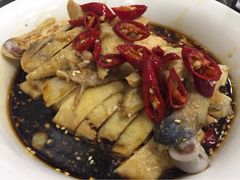 龙梅肥肠鱼馆(明瓦廊店)-龙梅肥肠鱼(明瓦廊店)