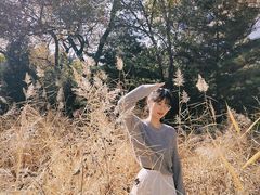 -森林公园(尖草坪区)