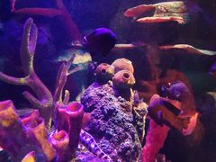 -沈阳海洋探索中心