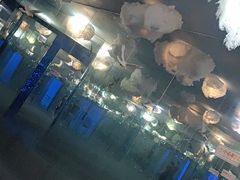 -山西乌金山旅游区