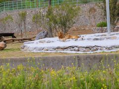 -南京金牛湖风景区