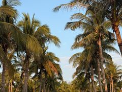 -白沙门生态公园