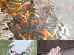 -团结湖公园
