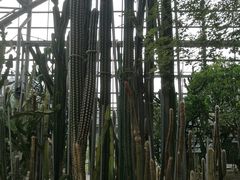 -南山植物园