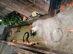 -0776食堂·京城创意菜(七里庄店)