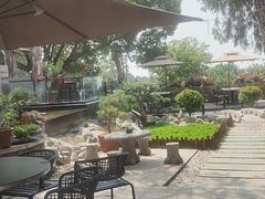 -蘇河湾·新鲁菜·泰山宴(泰山店)