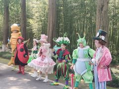 -黄海国家森林公园