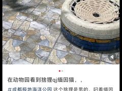 -海合安成都极地海洋公园