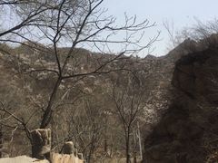 -大岭沟猕猴桃谷风景区