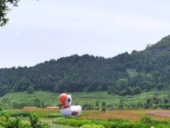 -径山花海