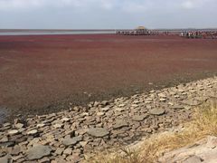 -红海滩国家风景廊道