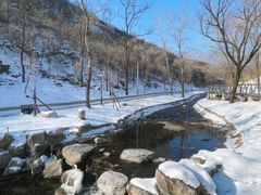 -白水寺森林公园