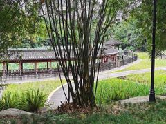 -龙头寺公园