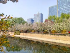 -元大都城垣遗址公园