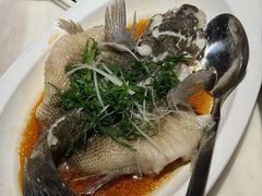 -陶陶居酒家(新天地店)