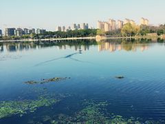 -尚贤河湿地