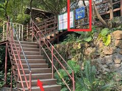 -南海湾森林生态园
