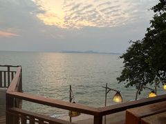 -卷心菜和避孕套餐厅(Pattaya)