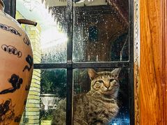 -马勒别墅·中餐厅