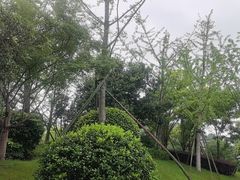 -雅达·阳羡溪山小镇中心