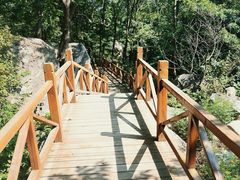 -大岭沟猕猴桃谷风景区