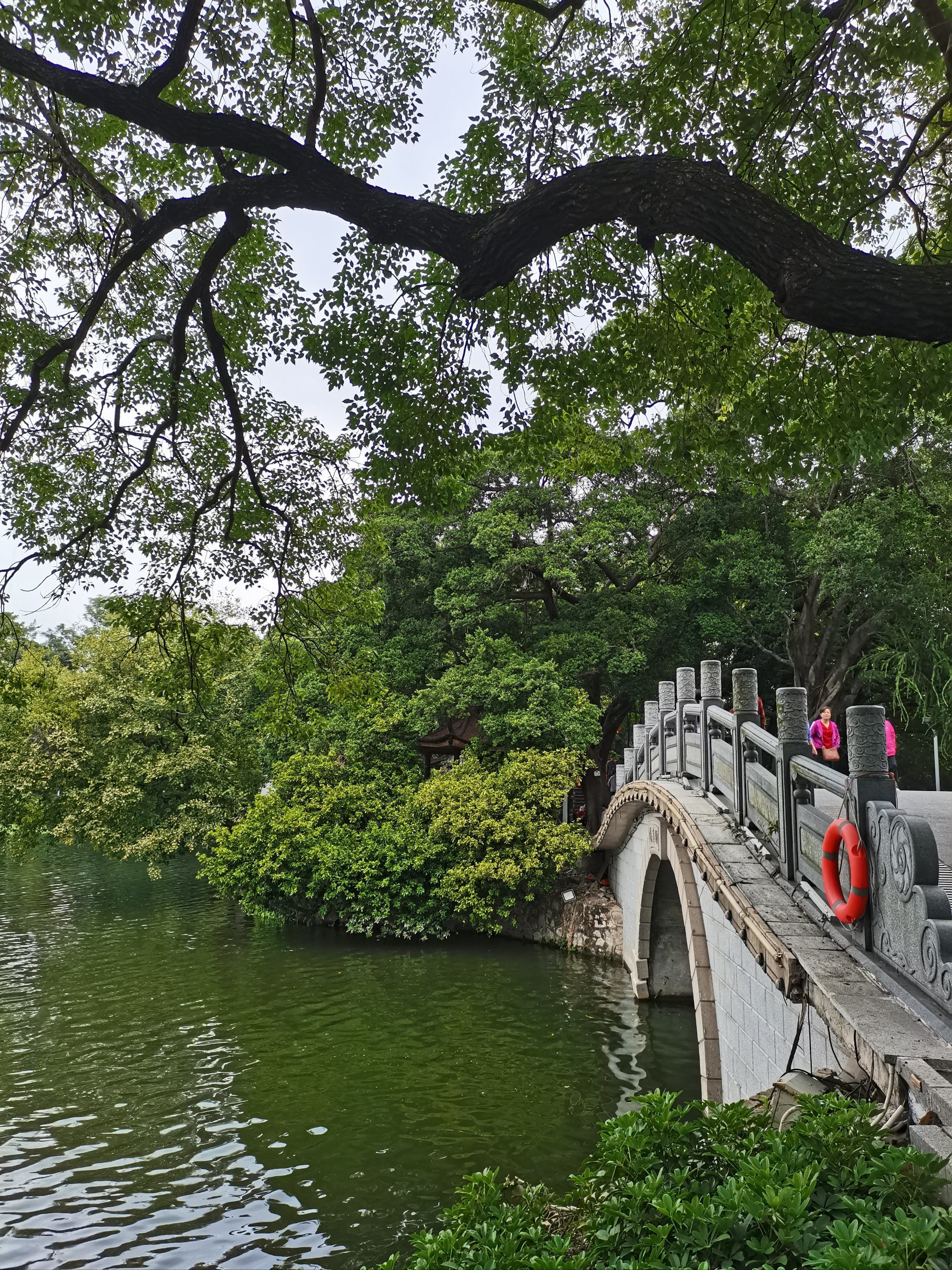 天气正好,荔湾湖公园散步