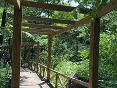 -大岭沟猕猴桃谷风景区
