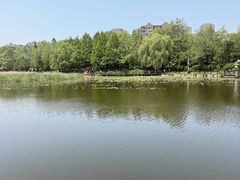 -前关湿地公园