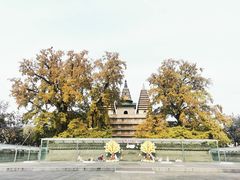 -北京石刻艺术博物馆