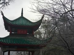 -岳麓山风景名胜区