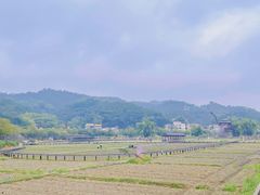 -红山村