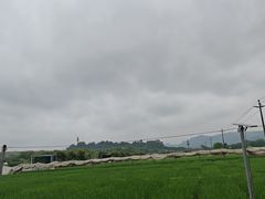 -光明小镇欢乐田园