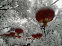 -西宁市人民公园(城西区)
