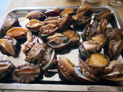 -大连海鲜斑鱼火锅(安平店)