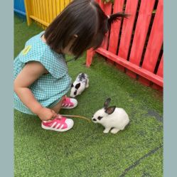 -萌宠亲子动物乐园(槐房万达店)