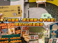 -广州白云广雅实验学校