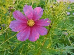 -长春公园(普阳街道)