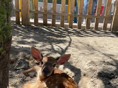 -水上乐园·欢乐世界