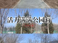 -回龙观体育文化公园