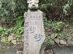 -都江堰中华大熊猫苑