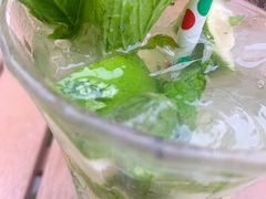 -Sirena海妖日咖夜酒