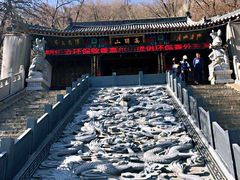 -高尔山公园