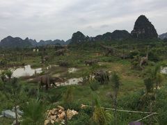 -龙谷湾旅游休闲度假区