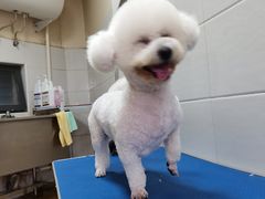 -芭比堂宠物医院·全科爱猫医院·仁德分院