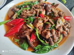 -肖仙仙羊肉汤·始于1996年(郫都店)