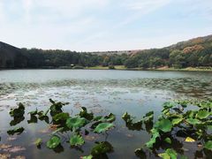 -紫霞湖公园