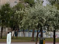 -哈尔滨文化公园