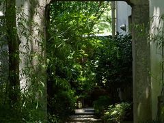 -临江宴餐厅·桐庐菜(富春江店)