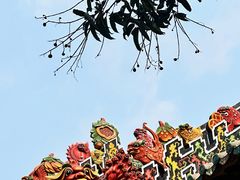 -陈家祠堂-游客中心